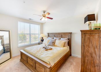 Bright bedroom with wooden bed, dresser, mirror, and ceiling fan; tray on bed with mugs and books.