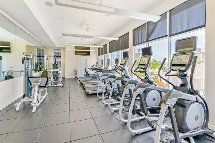 Bright gym with treadmills, ellipticals, and strength machines lined up by large windows and wall mirrors.